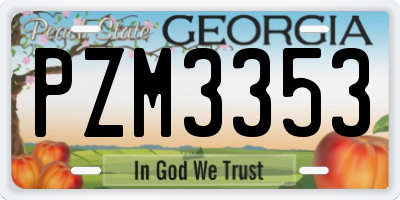 GA license plate PZM3353