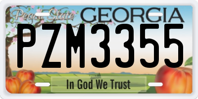 GA license plate PZM3355