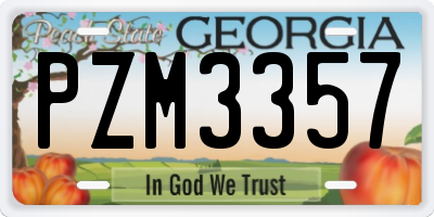 GA license plate PZM3357