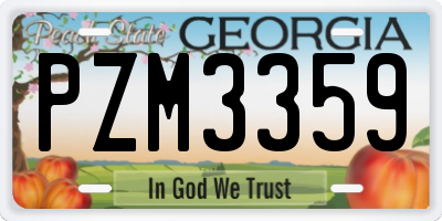 GA license plate PZM3359