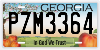 GA license plate PZM3364