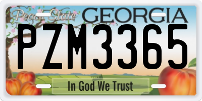 GA license plate PZM3365