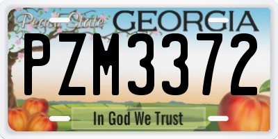 GA license plate PZM3372