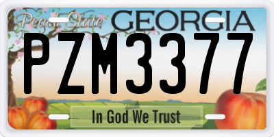 GA license plate PZM3377