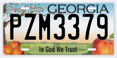 GA license plate PZM3379