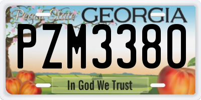 GA license plate PZM3380