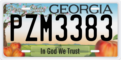 GA license plate PZM3383