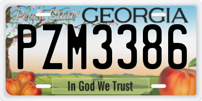 GA license plate PZM3386
