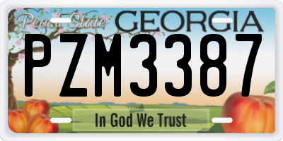 GA license plate PZM3387