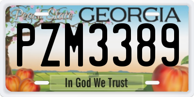 GA license plate PZM3389