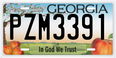 GA license plate PZM3391
