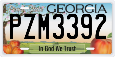 GA license plate PZM3392