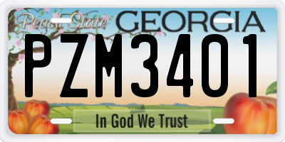 GA license plate PZM3401