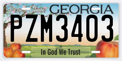 GA license plate PZM3403