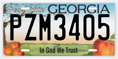 GA license plate PZM3405