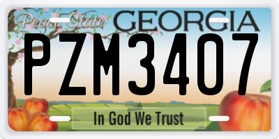 GA license plate PZM3407
