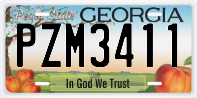 GA license plate PZM3411