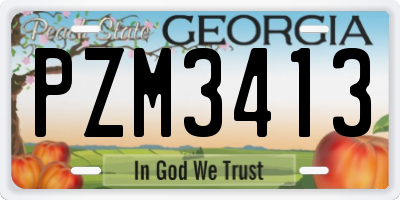 GA license plate PZM3413