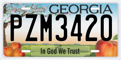 GA license plate PZM3420
