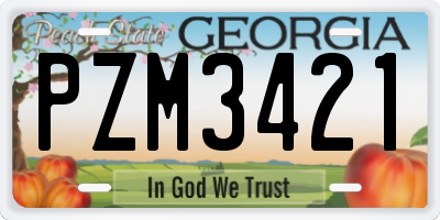 GA license plate PZM3421