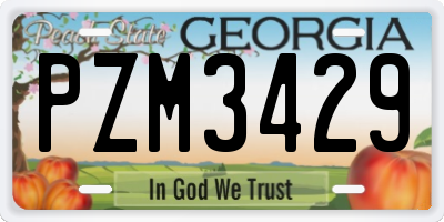 GA license plate PZM3429