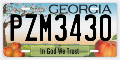 GA license plate PZM3430