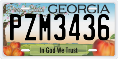 GA license plate PZM3436