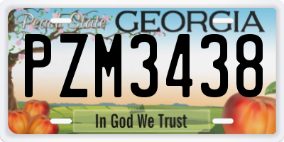 GA license plate PZM3438