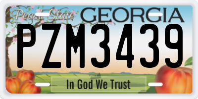 GA license plate PZM3439