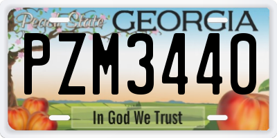 GA license plate PZM3440