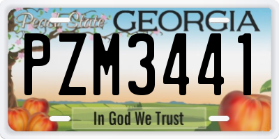 GA license plate PZM3441