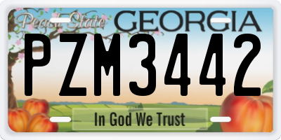 GA license plate PZM3442