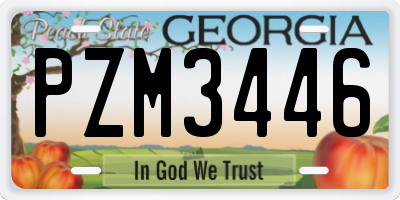 GA license plate PZM3446