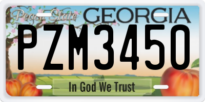 GA license plate PZM3450