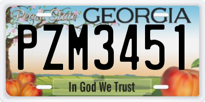 GA license plate PZM3451