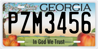 GA license plate PZM3456