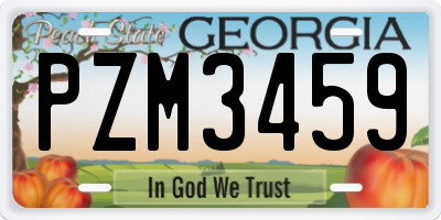 GA license plate PZM3459