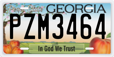 GA license plate PZM3464