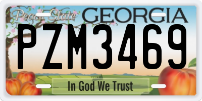 GA license plate PZM3469