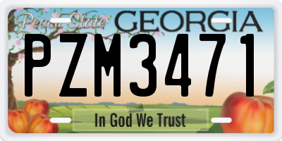 GA license plate PZM3471