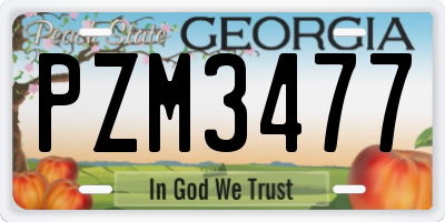 GA license plate PZM3477