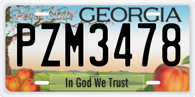 GA license plate PZM3478