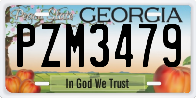 GA license plate PZM3479