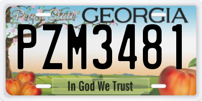 GA license plate PZM3481