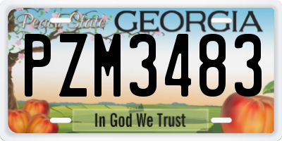 GA license plate PZM3483