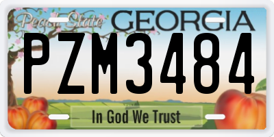 GA license plate PZM3484