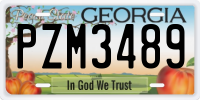 GA license plate PZM3489