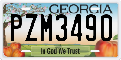 GA license plate PZM3490