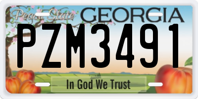 GA license plate PZM3491