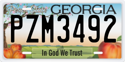 GA license plate PZM3492